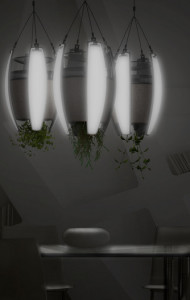 livinglight verlichte plantenbak