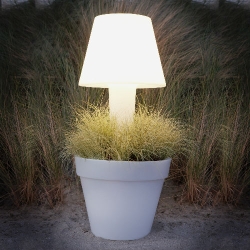 Plantenbak met licht