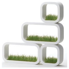 Grass planter plantenbak