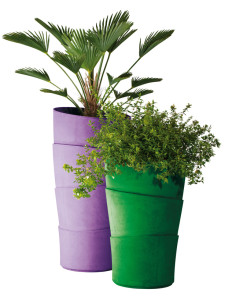 palma planters