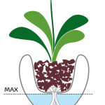 hydrosysteem plantenbak