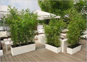 plantenbak lechuza balconera